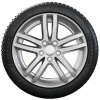 Dunlop WINTER 205/55 R16 91 H Zimné
