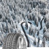 Sava ESKIMO HP 2 215/55 R16 93 H Zimné