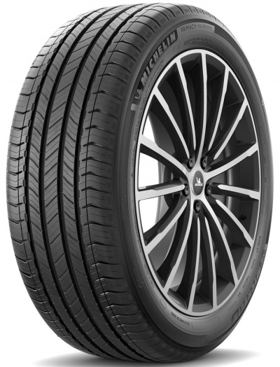 Michelin PRIMACY ALL SEASON 255/60 R20 113 Y Letné