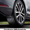 Goodyear EFFICIENTGRIP PERFORMANCE 2 205/55 R16 91 H Letné