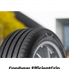 Goodyear EFFICIENTGRIP PERFORMANCE 2 195/65 R15 91 V Letné